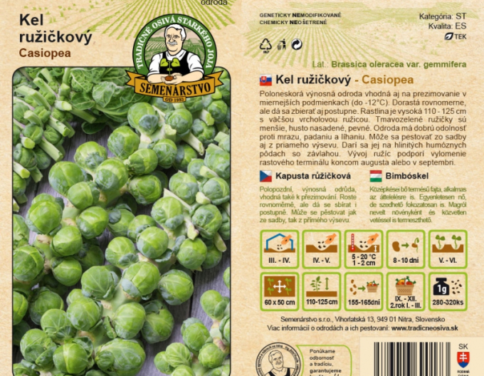 Semenářství Růžičková kapusta Cassiopea