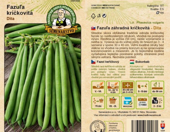 Semenářství Zahradní fazole ´Dita´