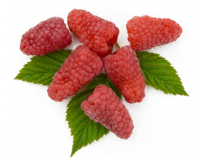 Maliník ´Gordost Rosyi´ beztrnny velkoplodici