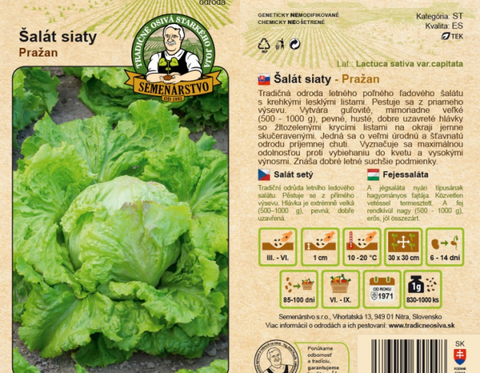 Semenářství Salát setý Prazan