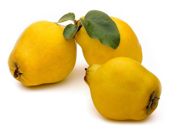 Dula hrušková "Vranja", podn. Dula, prostok.