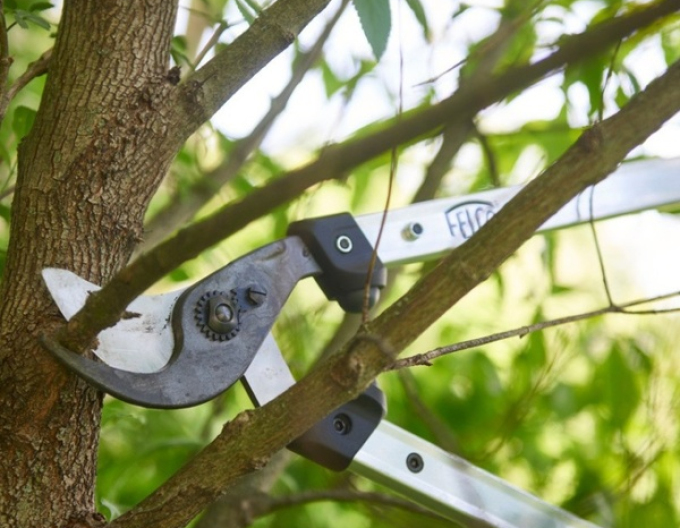 FELCO 211 - 60 Dvouruční nůžky na větve