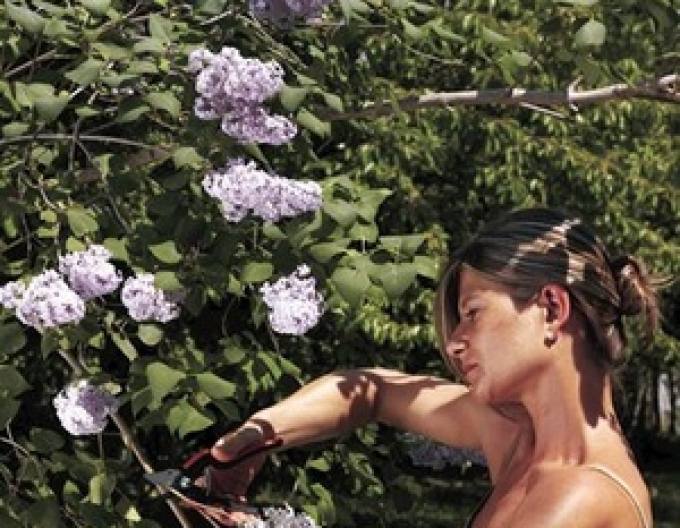 FELCO 160L Zahradnické nůžky