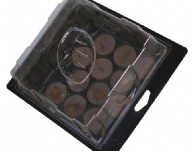 Grunt - Pařeniště s rašelinovými tabletami 12ks