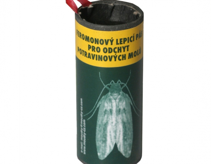 FEROKAP LEPICÍ PROUŽEK NA MOLY