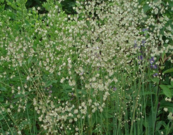 Třeslice prostřední 9x9