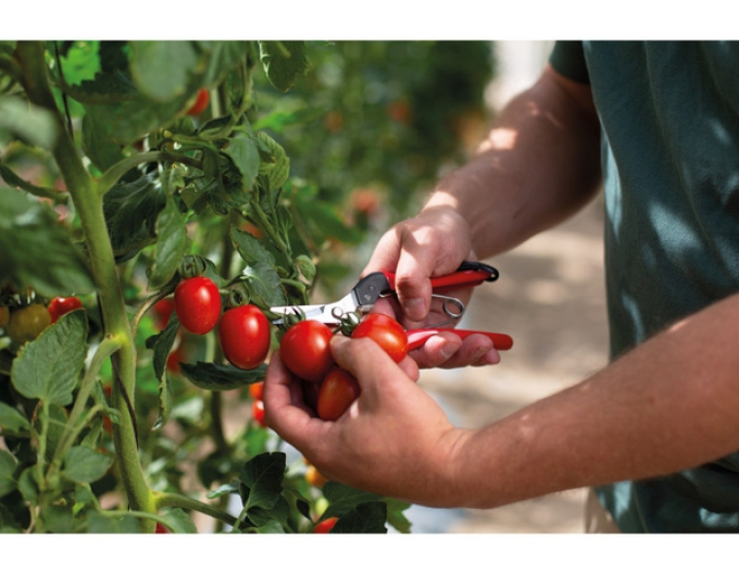 FELCO 321 Sklízecí nůžky